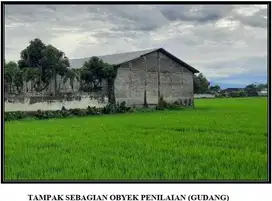 lelang aset Jombang di Mojoagung di tanah Kel Gambiran