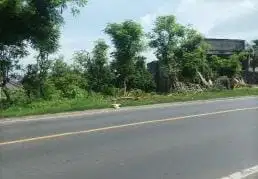 lelang aset Lamongan di brondong di tanah raya Daendels