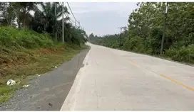 Jual tanah jalan poros provinsi / jalan utama IKN di PPU