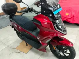 ALVA ONE 2023 molis