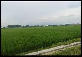 aset lelang Jombang di Mojoagung di tanah Kel