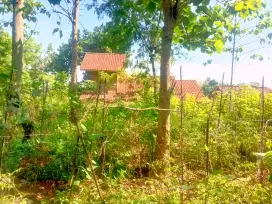 Jual Lahan Kebun murah di Cangkuang Banjaran