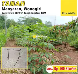 Dijual Tanah di Manyaran, Wonogiri