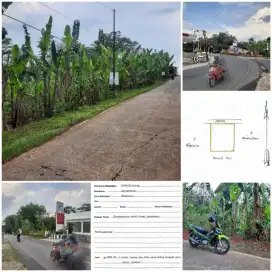 Jual tanah pekarangan desa sewurejo mojogedang luas 2685m harga 800jt
