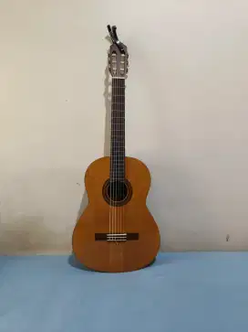 Gitar Yamaha C315