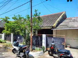 Rumah Di Jl Pilang Mas Garden Kalikoa Kedawung