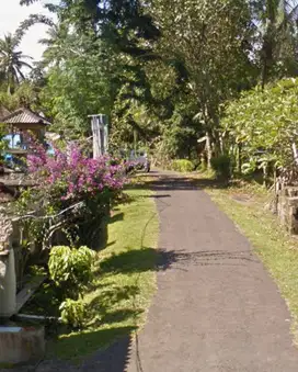 Tanah Zona Kuning Dekat Pantai Selabih Tabanan Bali