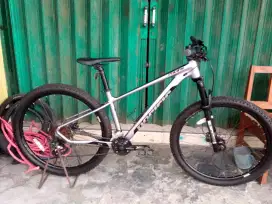 MTB Pacific Cameron 4.0 mulus