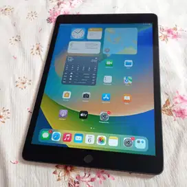 Ipad gen 8 32gb wifi only edition mulus