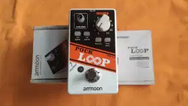 Guitar Effect Ammon Pock Loop