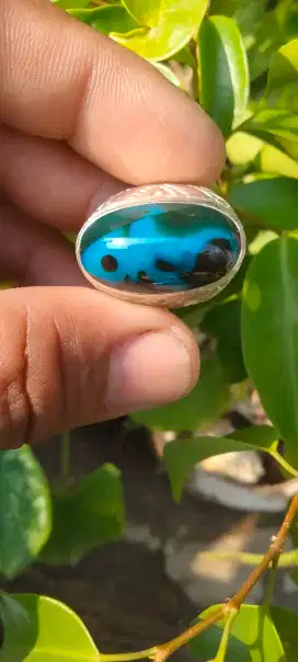 Batu bacan totol