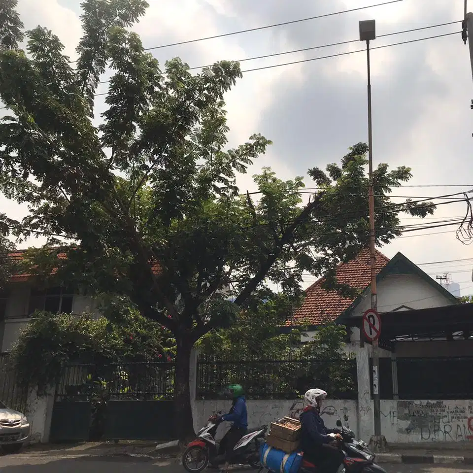 Rumah Tua di Jln Arjuna Pusat Kota Surabaya ,Butuh Cepat laku