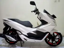 PCX pajak hidup super panjang lengkap sehat keterangan detail dibawah