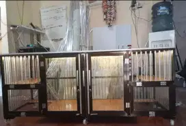 kANDANG KUCING Kaca