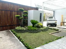 TUKANG TAMAN MINIMALIS ANTAPANI | PASANG RUMPUT GAJAH MINI