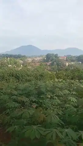 Tanah d jual cepat View Gunung jln aspal 3 mtr sejuk di sukabumi