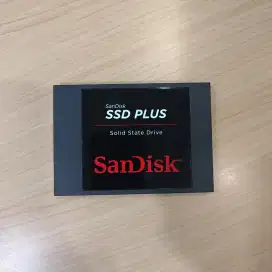 Sandisk SSD Plus 480GB Sentinel 100