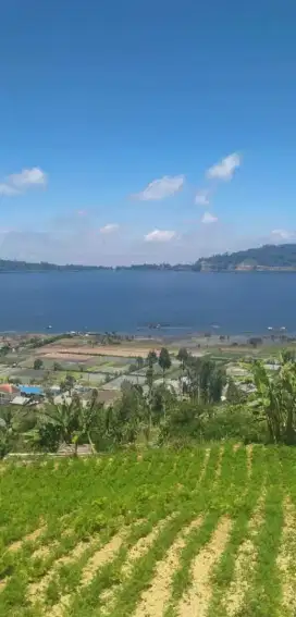 Bedugul View Danau Beratan