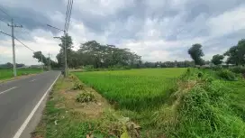 Dijual Sebidang Tanah Sawah Pinggir Jalan