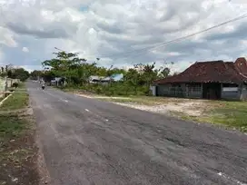 Tanah istimewa depan pasar hewan