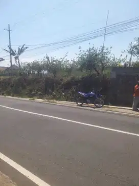 Tanah poros gubukklakah Poncokusumo kabupaten Malang