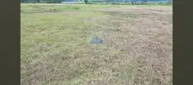 Jual Tanah Murah Di Pasir Gintung, Jayanti, Tangerang - Banten.