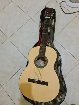 Gitar cort AC100E