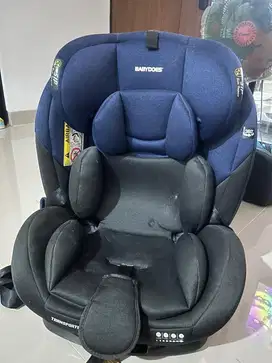 BabyDoes Carseat