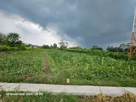 Sawah Produktif dekat tol solo jogja