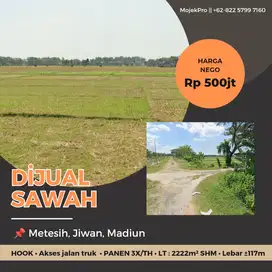 Tanah Sawah Produktif HOOK di Jl. Sambijajar Metesih Jiwan