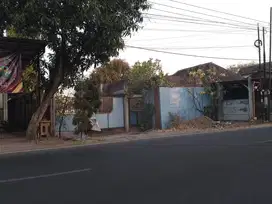 jual tanah nol jalan raya Sukorejo