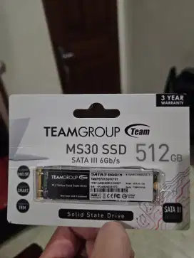 [Jual Murah] SSD TEAM MS30 M.2 SATA-2280 512GB