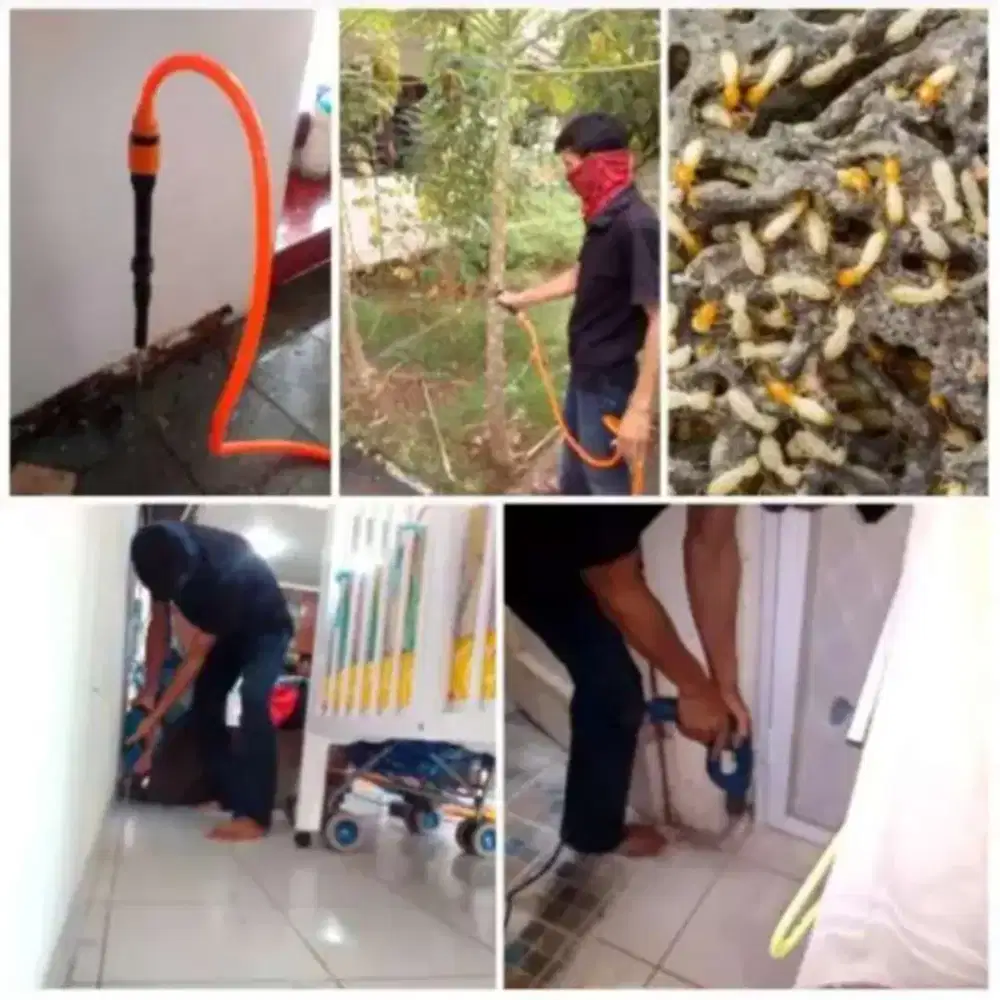 Jasa Anti Rayap Bergaransi