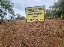 [NEGO SAMPAI DEAL] TANPA PERANTARA - TANAH KEBUN DURIAN MUSANG KING