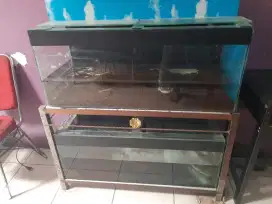 Channa dan aquarium 100*40