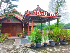 Rumah Klasik Kayu Pedesaan Luas 1000 Meter