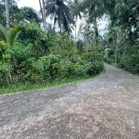 di jual tanah kebun aneka buah contour bagus di tabanan bali