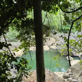 tanah kebun los sungai dekat pantai di tabanan bali