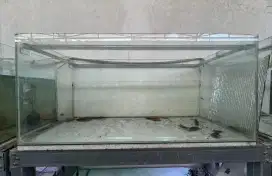 Aquarium bagus mantap