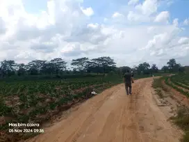 Tanah luas di terbanggi besar