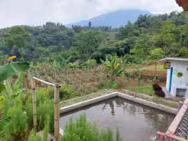 Dijual Tanah Produktif Gunung Malang