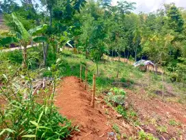 Jual Lahan Kebun murah Pinggir Jalan di Cangkuang Banjaran