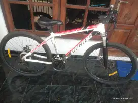 Pacific Sepeda MTB 26 Istimewa