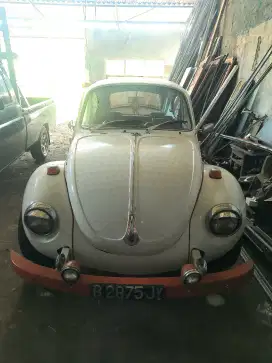 VW kodok normal sehat