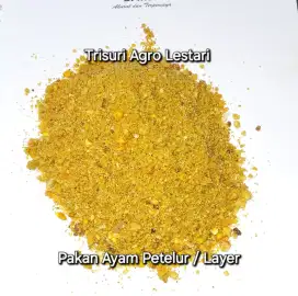 Pakan Layer / Pakan Petelur