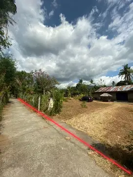 dijual murah tanah datar cocok untuk kebun anggur atau  rumah subsidi