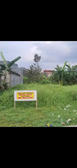 Dijual cepat tanah pekarangan tanpa perantara