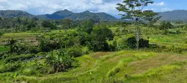 Tanah kontur datar view hamparan sawah  akses jalan 4 meter