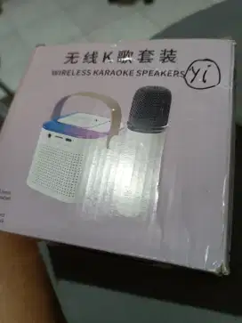 Wireless karoke speaker