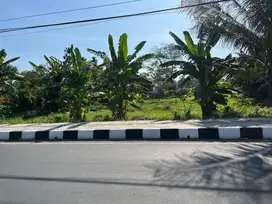 Tanah pinggir jalan Raya Meninting